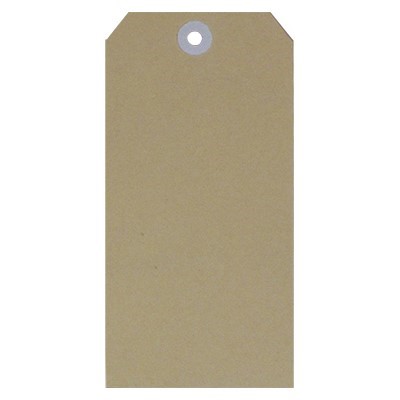 ESSELTE 38987 SHIPPING TAGS NO 5 60 X 120MM BOX 1000