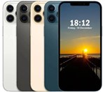 APPLE IPHONE 12 PRO MAX 256 GB 