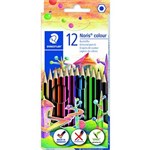 NORIS COLOUR COLOURED PENCILS BOX 12