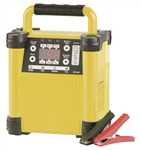 CHGR BATT 61224V 15A SMODE 240VAC