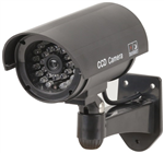 CAMERA DUMMY INOUT PLASTIC W LED 2XAA