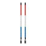 ECOXGEAR LED 4FT 2PK WHIP