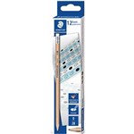 STAEDTLER 132 EXAM GRAPHITE PENCILS 2B WITH ERASER TIP PACK 12
