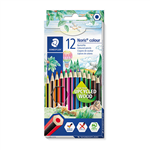 NORIS COLOUR COLOURED PENCILS BOX 12