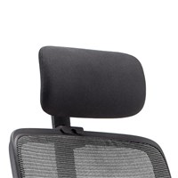 Head Rest